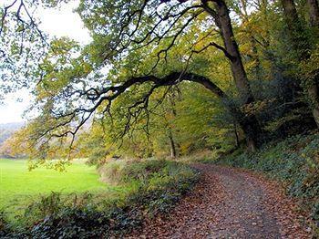 Bridge House Hotel Gunnislake ภายนอก รูปภาพ